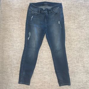 Torrid Premium Jeggings